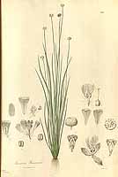  no thumbnail available