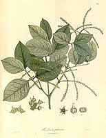  no thumbnail available