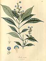  no thumbnail available