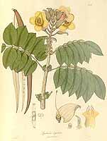  no thumbnail available