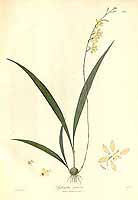  no thumbnail available