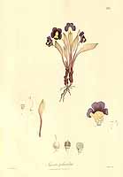  no thumbnail available