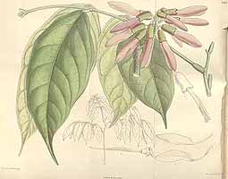  no thumbnail available