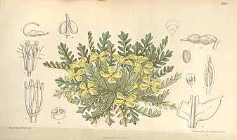  no thumbnail available