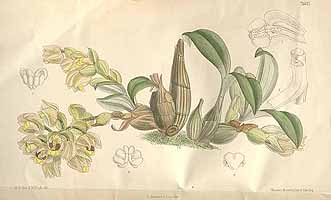  no thumbnail available