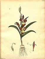  no thumbnail available