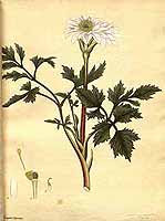  no thumbnail available