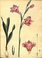  no thumbnail available