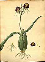  no thumbnail available