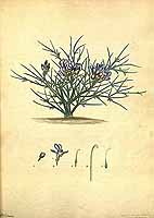  no thumbnail available