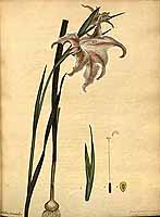  no thumbnail available