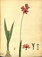  no thumbnail available