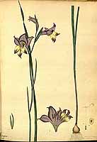  no thumbnail available