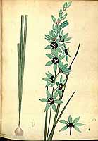  no thumbnail available