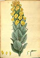  no thumbnail available