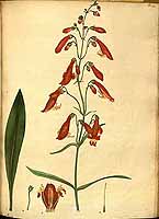  no thumbnail available