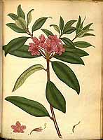  no thumbnail available