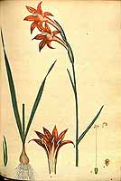  no thumbnail available