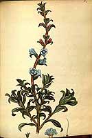  no thumbnail available