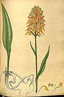  no thumbnail available