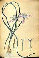  no thumbnail available