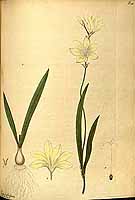  no thumbnail available