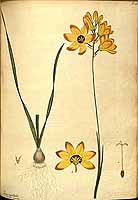  no thumbnail available