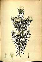  no thumbnail available