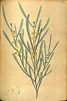  no thumbnail available