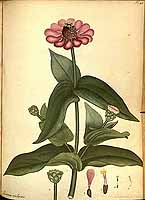  no thumbnail available