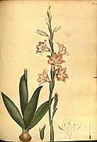  no thumbnail available