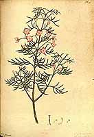  no thumbnail available