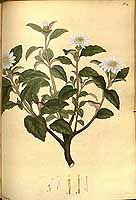  no thumbnail available