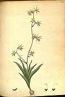  no thumbnail available