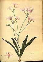  no thumbnail available