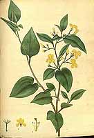  no thumbnail available