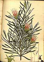  no thumbnail available