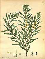  no thumbnail available