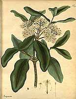  no thumbnail available