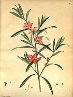  no thumbnail available