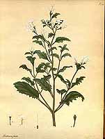  no thumbnail available