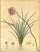  no thumbnail available