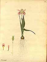  no thumbnail available