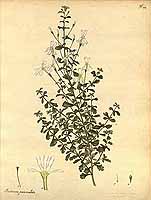  no thumbnail available