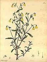  no thumbnail available