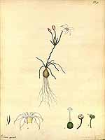  no thumbnail available