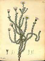  no thumbnail available