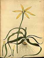  no thumbnail available