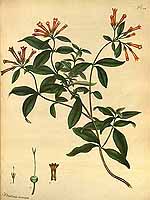  no thumbnail available