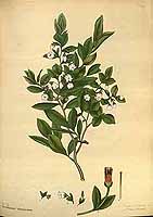  no thumbnail available